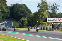 Middle Group Black Bikes